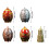 Multipurpose Coffee Teas Sugar Container Food-Type D 4