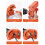Tool Grinding Accessories Durable Compact Drill Bit Grinder For Drill Bits Portable Lightweight Tool Set 3