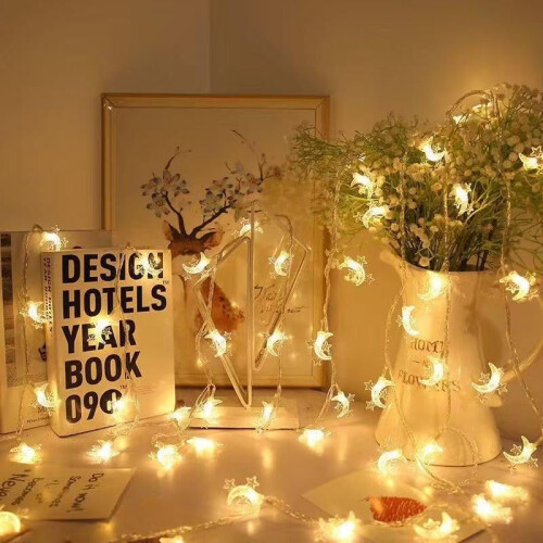 Moon Star String Lights Outdoor LED String Lights 3m 20 LEDs Wedding Garden Decor 2