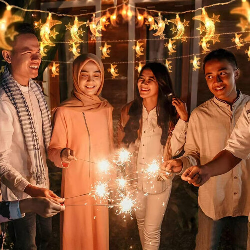Moon Star String Lights Outdoor LED String Lights 3m 20 LEDs Wedding Garden Decor 1