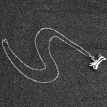 Knochenurnen-Halskette, personalisierte Asche-Halskette, Erinnerungsstück aus Titanstahl für Haustiere mit Mini-Trichter, langlebiger und