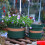 Blumentopf, Gallonentopf, PP, multifunktional, 12