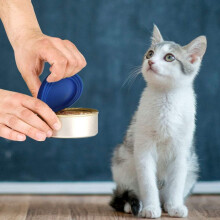 Silikon-Dosendeckel für Tierfutter, passend für alle Standarddosen, wiederverwendbar, flexibel, sicher, BPA-frei und spülmaschinenfest