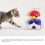 Jouets pour chats, distributeur de nourriture-Bleu américain 2