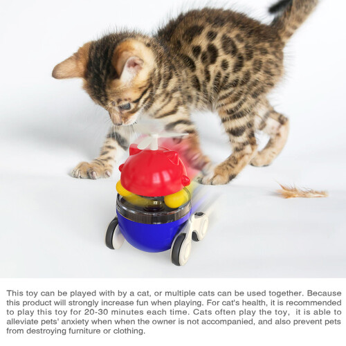 Jouets pour chats, distributeur de nourriture-Bleu américain 2