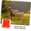 Thickened Salt Block Holder For Sheep And Cattle Multi Use Licking Tray Salt Brick Storage Feeding Solution 3