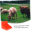 Thickened Salt Block Holder For Sheep And Cattle Multi Use Licking Tray Salt Brick Storage Feeding Solution 5