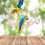 Δίχτυ αναρρίχησης Lovebird για άσκηση πτηνών, κρεμαστό σκάλα, πυκνό παιχνίδι μάσησης, 7