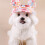 Ventilated Ear Pet Sun Hat Sun Blocking-Pink flowers L 5