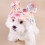Outdoor Pet Sun Hat Sun Blocking Lightweighted Summer-rainbow M 2