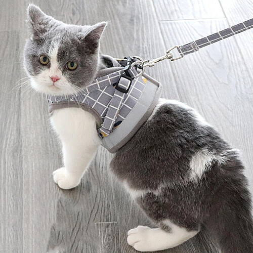 Walk Cat Harness Soft NoPull For Small Cats Grey Size M 1
