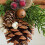Christmas Tree Decorations Metal Bells-Red cinnamon pine br 4