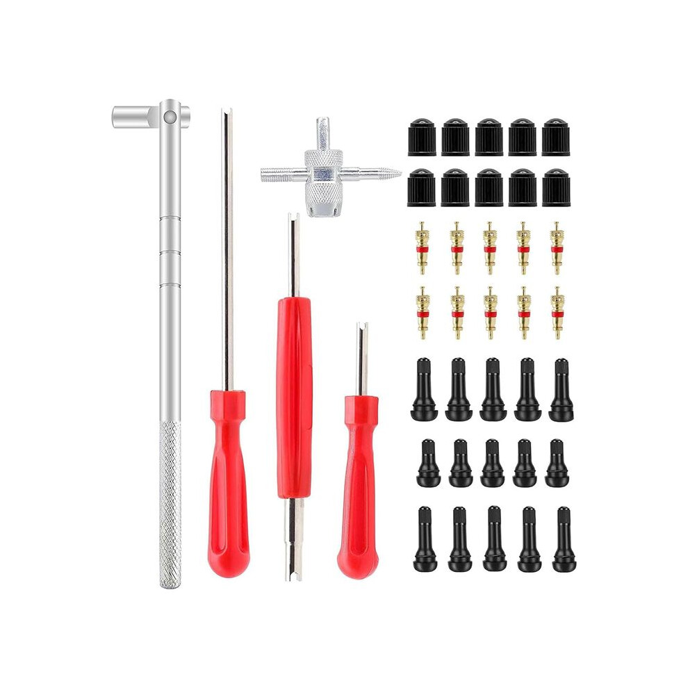 Valve Stem Puller Installer Tool, Single Head Tire Valve Core Remover Installer Tool(40Pcs) 4712280670731