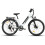 SameBike SAMEBIKE 15Ah 26" Urban Electric Bicycle,white 17