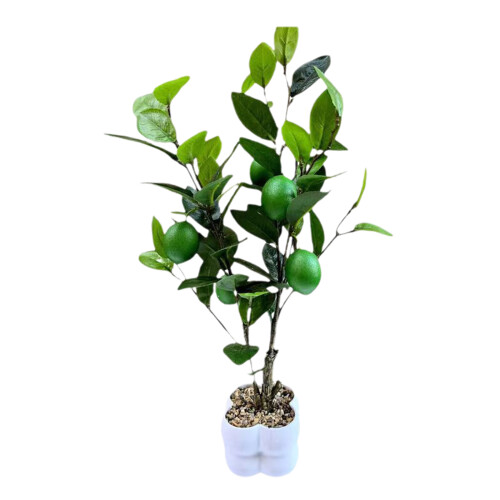 Realistic Fruit Tree Sculpture for Home Decoration-lime tree