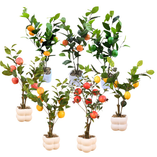 Realistic Fruit Tree Sculpture for Home Decoration-lime tree 2