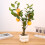 Realistic Fruit Tree Sculpture for Home Decoration-lime tree 7