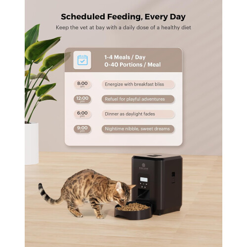 Automatic Cat Feeder for Cats with 2L Capacity 1