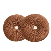 2 Pcs Brown Throw Pillows for Dorm Living Room 15.75'
