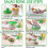 Multifunctional Salad Cutter Bowl for Instant Salad Making 2