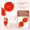 3 PCS Multifunctional Egg Shell Opener for Cooking and Camping 4