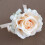 6Pcs Elegant Artificial Rose Boutonniere Bright Colored-White 5