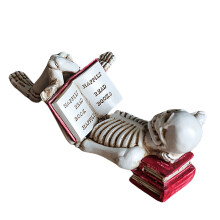Reading Skull Decoration, Handmade Resin Skeleton Reader-2