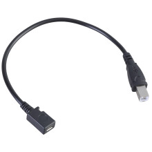 Adaptateur USB 5 broches femelle vers USB B mâle, câble de