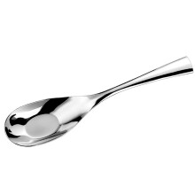Mirror Finish Stainless Steel Serving Spoon 316L Elegant