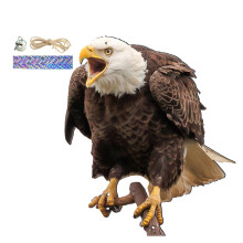 Bird Repellent Bell, Realistic Bird Scarer with Sound, Fake Hawk Decoy, Owl, Scarecrow  for Yard, Indoor, Outdoor  Garden 32 Ref: 9966