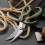 Kitchen Shears for Cutting Chicken and Fish 5