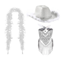 Chapeau de cow-girl, foulard en plumes, ensemble écharpe-Argent