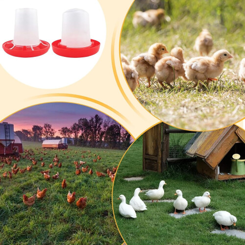 chicken watering system, chick feeder and watering set, poultry feeder 2