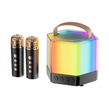 Karaoke Machine for Kids and Adults, Wireless Speaker with LED Light