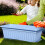 Window box Planter  Weatherresistant with drainage holes for kitchen 2