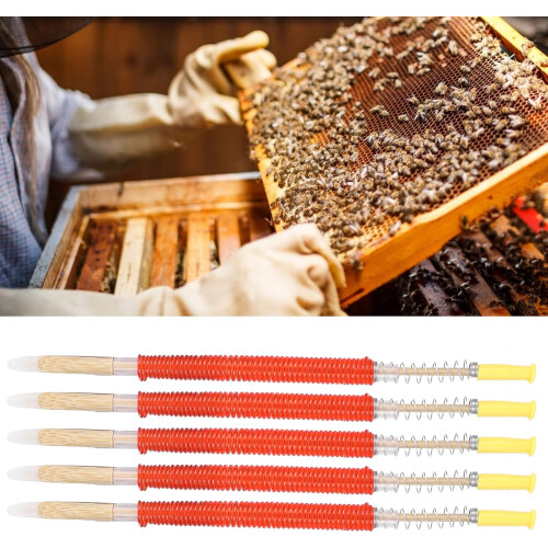 Beekee Gra 25pcs Bee Larvae Needle  Beekeeping Equipment 2