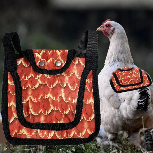 Chicken saddle – adjustable, breathable, lightweight for feather regrowth 1