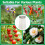 Multifunctioneel plantenschuilplaats koude wind-1 stuks 6
