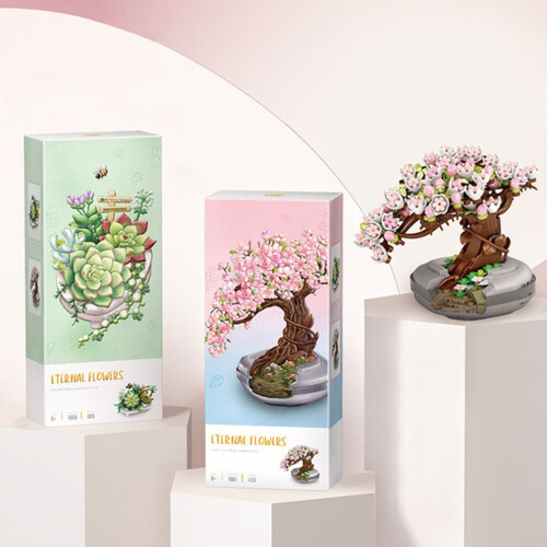 Bausteine für Sukkulenten-Bonsai 2