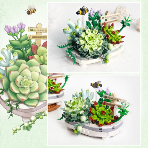 Bausteine für Sukkulenten-Bonsai