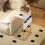 Rattan Table、Coffee Table 6