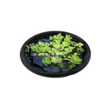 Barrière à poissons flottante, filet de protection pour-45cm