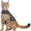 2 PCS Classic Cat Anxiety Jacket 2
