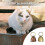 Brittle Sounding Bronze Mixture Pet Toll-1 red bronze 4