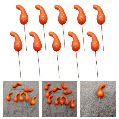 Multiple Purpose Spume Vegetable Intonation Natural Searching 1