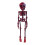 Skeleton Fridge Magnets with Articulated Joints for Kitchen-A 1