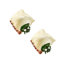 Set van 2 winterklare plantenluifels, flexibel plan,-100x120cm