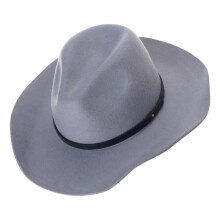 Costume de cowboy élégant avec chapeau haut de forme-Gris