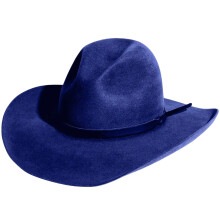 Chapeau Porkpie exotique, chapeau haut-de-forme-Bleu marine