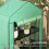 Mini Greenhouse 6